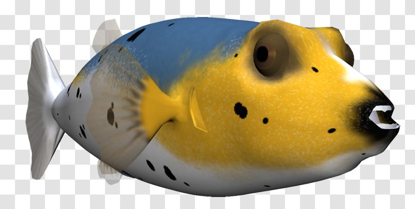 Marine Mammal Snout Fish Transparent PNG