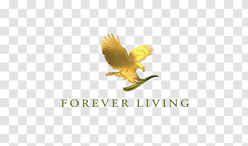 Forever Living Products MEDIA SECTOR Personal Care Amara Organics Aloe Vera Gel From Organic Cold Pressed Medifast - Logo Transparent PNG