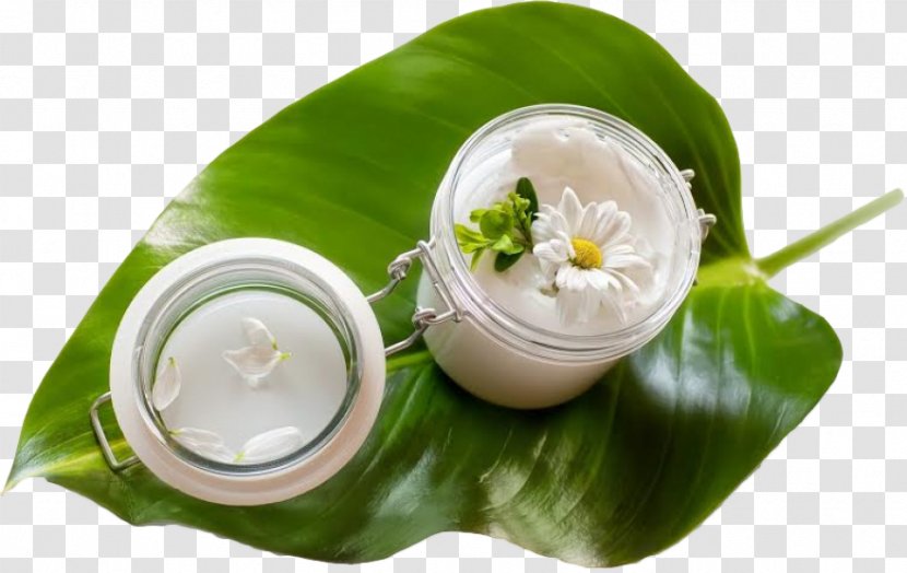 Cosmetics Cream Skin Care Massage Transparent PNG