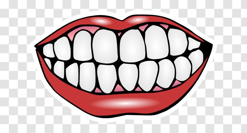 Human Tooth Smile Clip Art - Heart - Front Teeth Gums Transparent PNG
