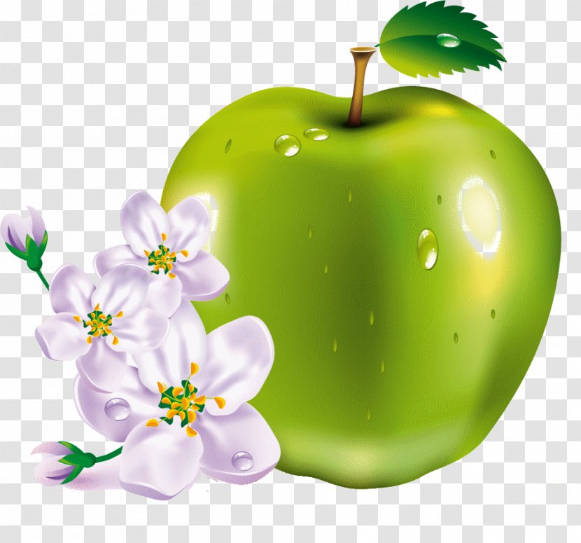 MacBook Pro Apple Clip Art - Fruit Transparent PNG