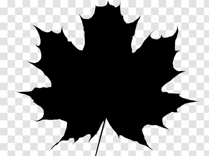 Maple Leaf Vector Graphics Royalty-free - Tree - Woody Plant Transparent PNG