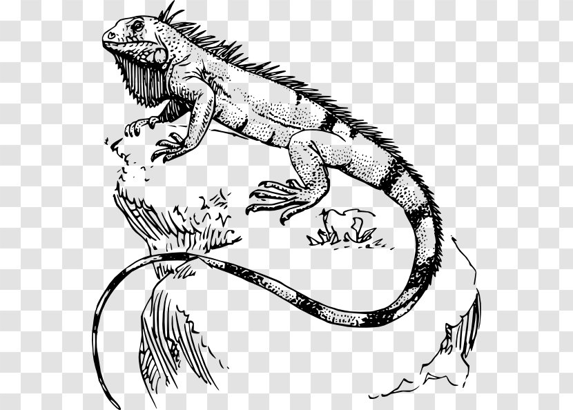 Lizard Reptile Polynesia Tattoo Green Iguana Transparent PNG