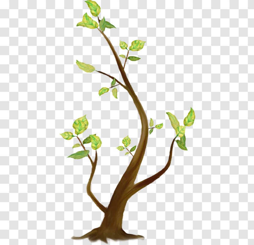 Tree Branch Coarse Woody Debris Clip Art Transparent PNG