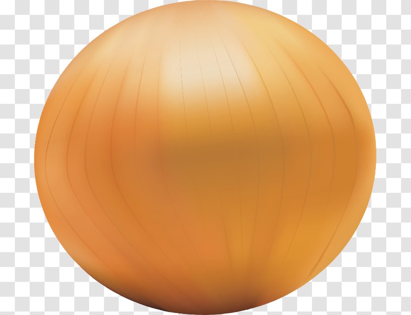 Calabaza Winter Squash Sphere Ball - Peach - Hand-painted Onion Transparent PNG
