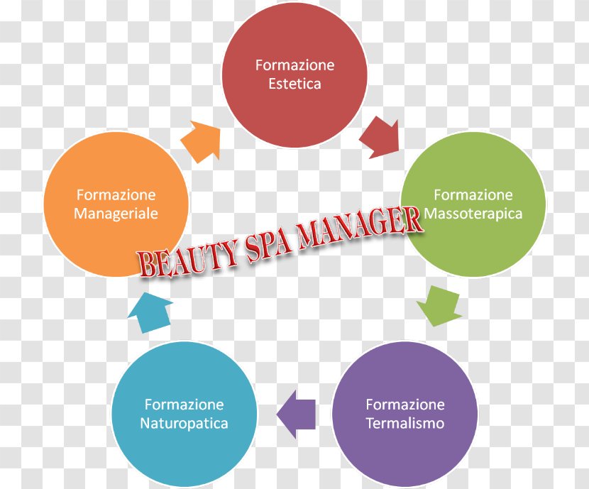 Systems Development Life Cycle Marketing Purchasing Sales Business Process - Flyer Beauty Salon Transparent PNG