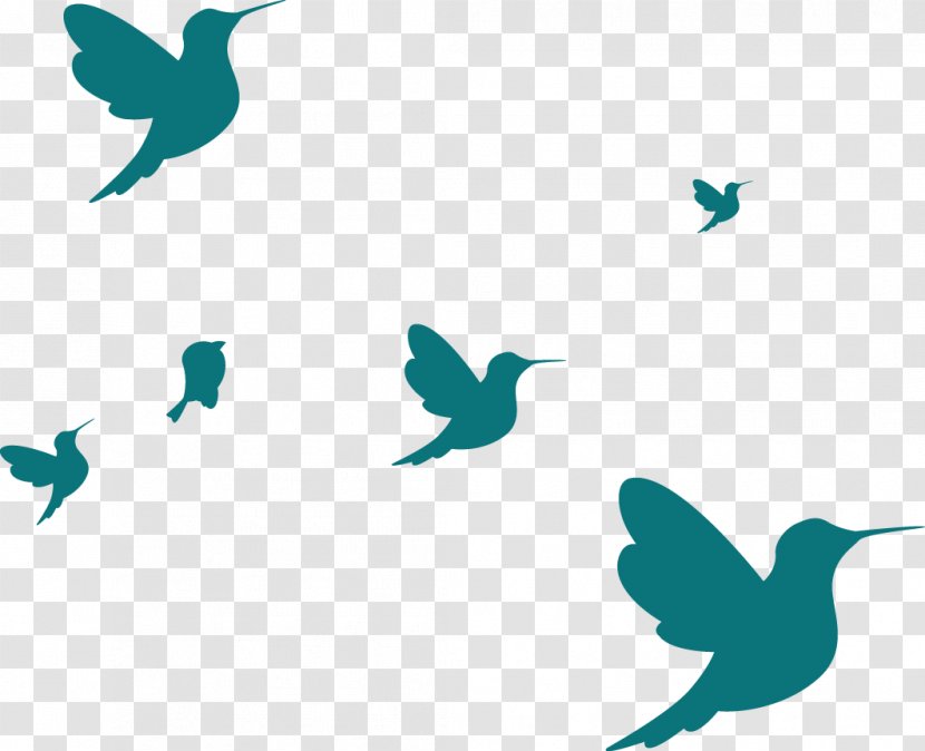 Bird Clip Art - Aqua - Birds Transparent PNG