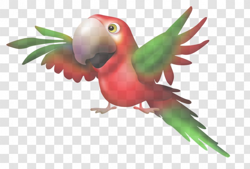 Lovebird - Plant Macaw Transparent PNG