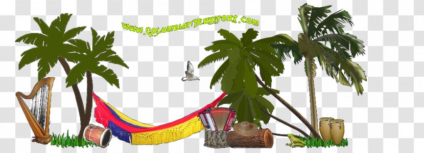 Colombia Joke Download Video Humour - Computer Program - Costa Pacifica Colombiana Transparent PNG