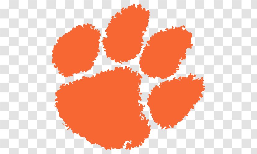 Clemson University Tigers Football Men's Basketball Baseball Women's - National Collegiate Athletic Association - Vandalism Transparent PNG