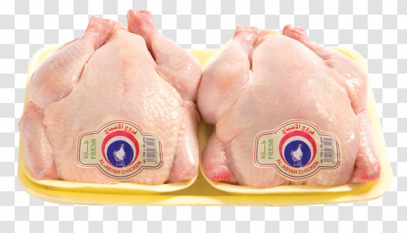 Chicken Meat Business Poultry Transparent PNG