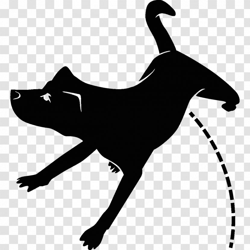 Dog Breed Cat Leash Clip Art - Monochrome Photography Transparent PNG