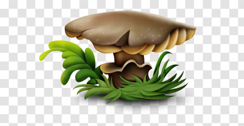 Lingzhi Mushroom Fungus Clip Art - Drawing - Garden Center Transparent PNG