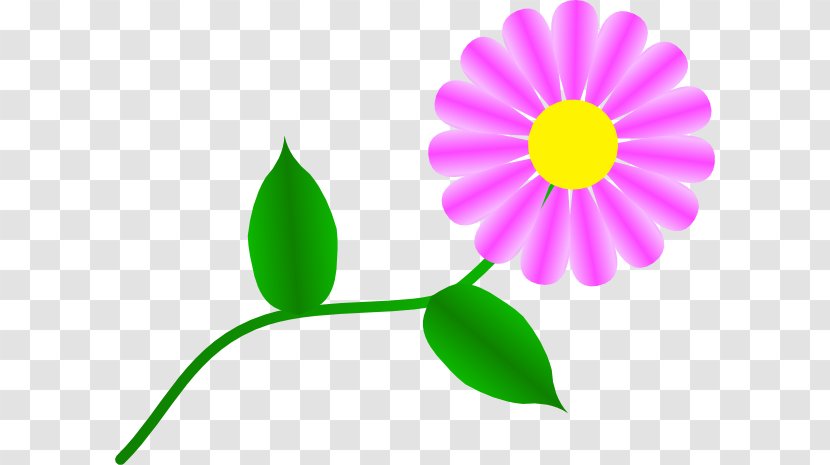 Common Daisy Clip Art - Flower - Gerbera Clipart Transparent PNG