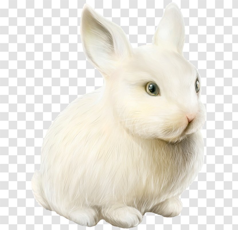 Domestic Rabbit Easter Bunny Clip Art - Hare Transparent PNG