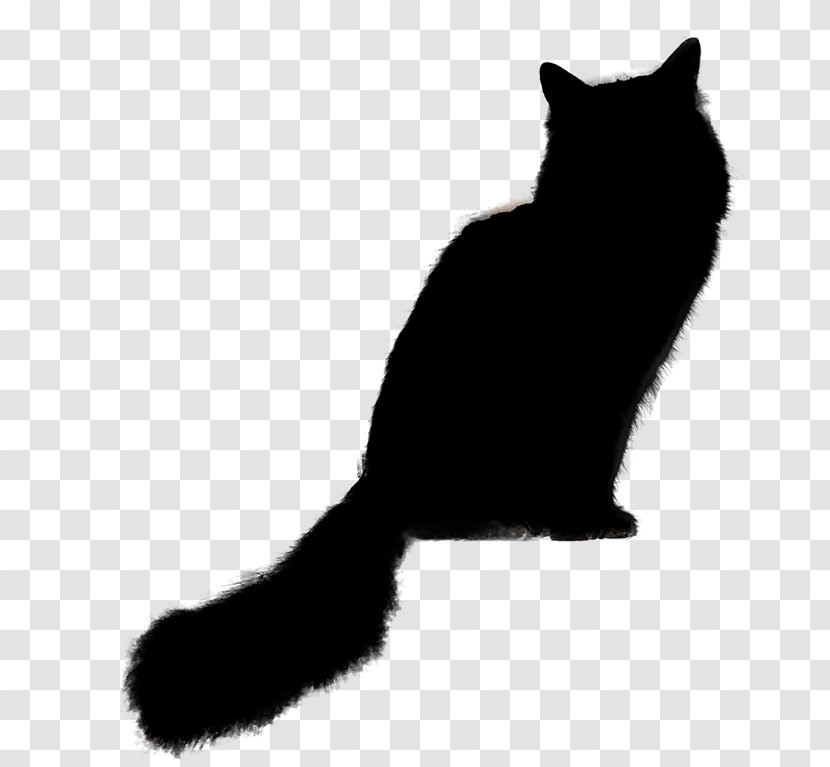 Cat Black Small To Medium-sized Cats Tail Whiskers - Squirrel - Paw Transparent PNG