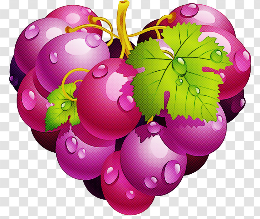 Purple Violet Pink Plant Magenta Transparent PNG