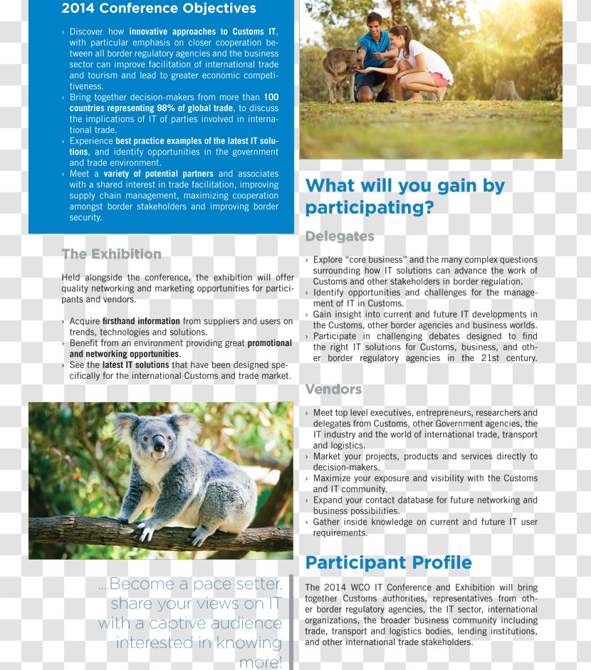 Koala Australia Pet Water Resources Canvas Transparent PNG