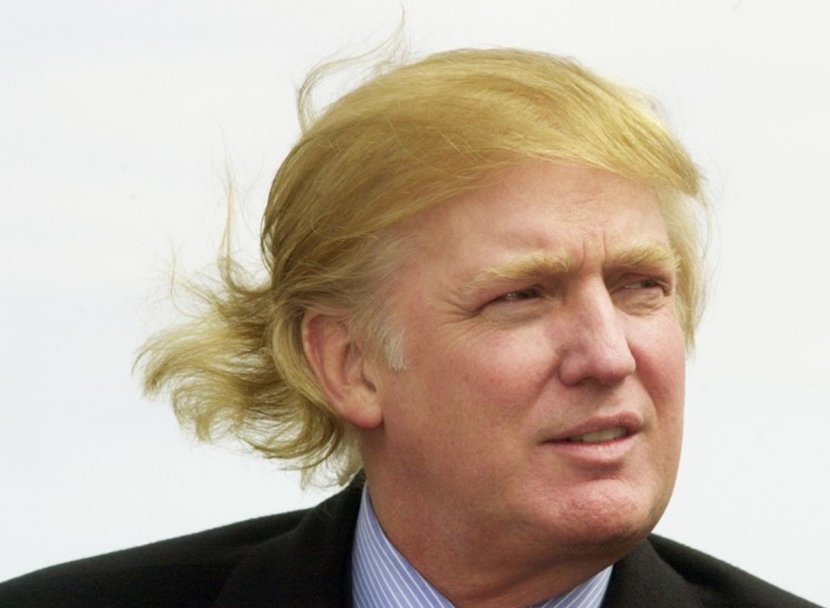 Donald Trump United States Comb Over Hairstyle - Independent Politician Transparent PNG