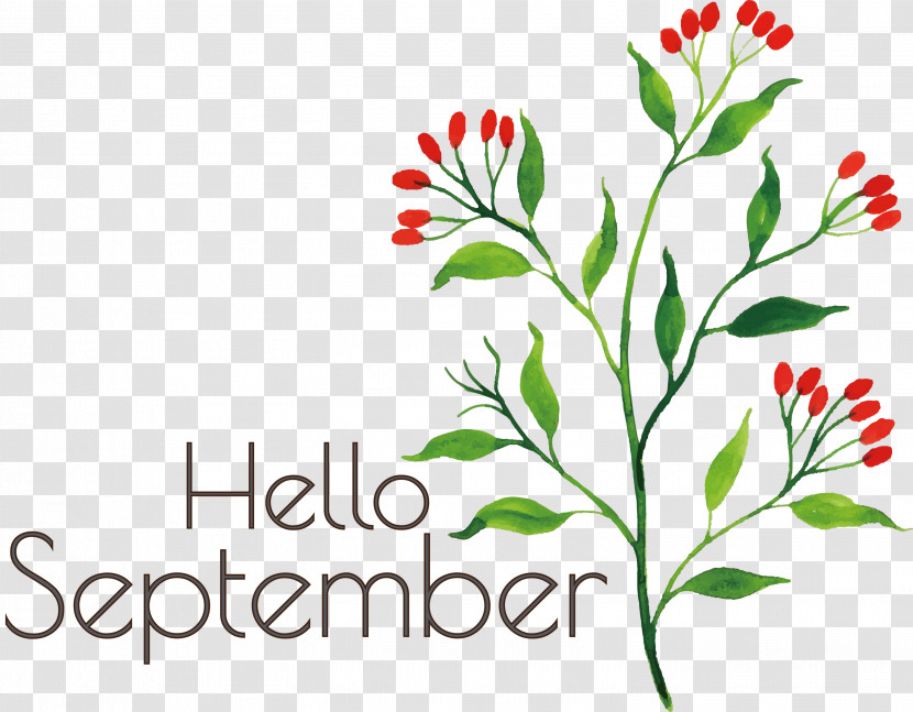 Hello September September Transparent PNG