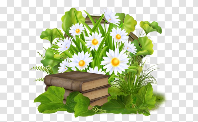 Animation Wallpaper - Diary - Chrysanthemum And Books Transparent PNG