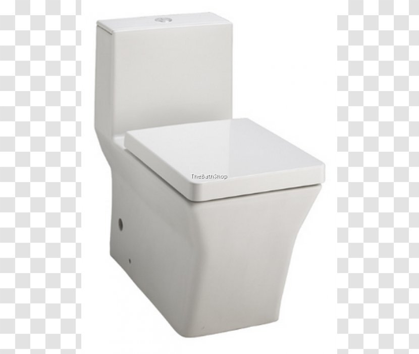 Kohler Co. Dual Flush Toilet Roca Bathroom - Seat Transparent PNG