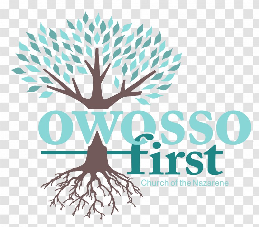 Chesaning First Church Of The Nazarene Owosso Celebrate Recovery God - Organism - Missions Monthly Emphasis Transparent PNG