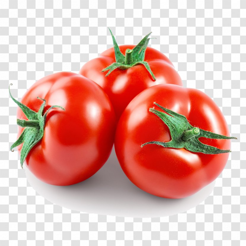 Cherry Tomato Roma San Marzano Salad Beefsteak - Nightshade Family - Water Lily Transparent PNG
