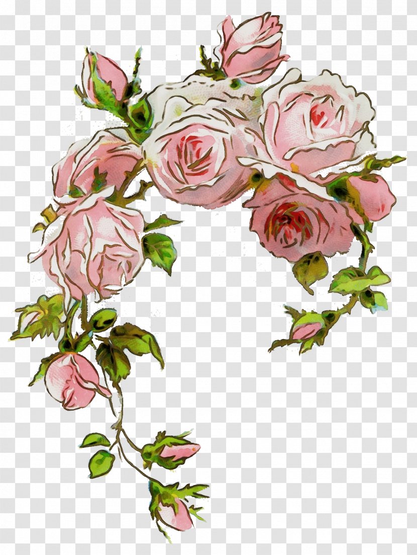 Watercolor Floral Background - Cut Flowers - Hybrid Tea Rose Artificial Flower Transparent PNG