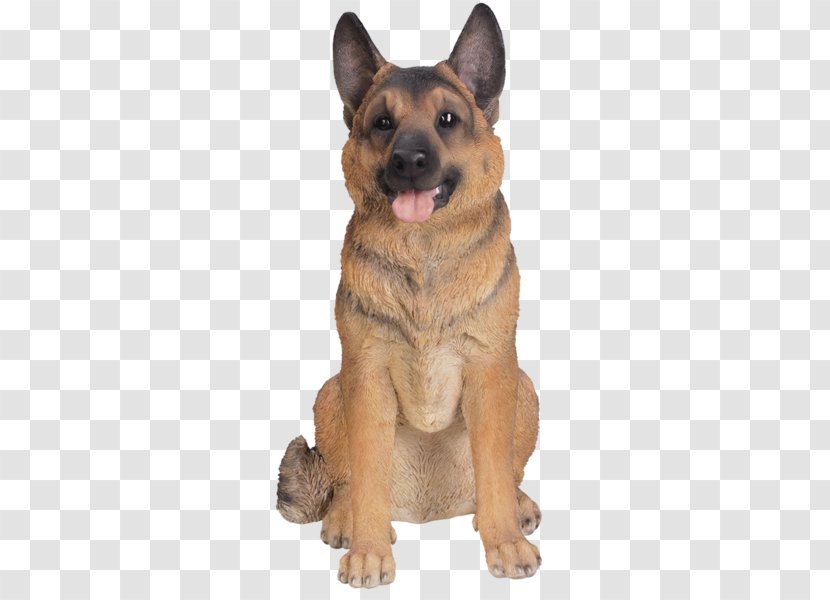 Dog German Shepherd Police King Old Transparent PNG