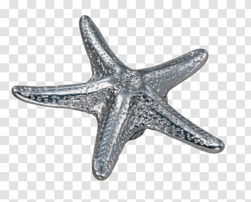 Drawer Pull Cabinetry Door Handle Kitchen Cabinet - Sea - Colored Starfish Transparent PNG
