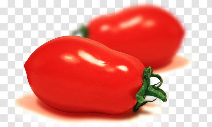Piquillo Pepper Plum Tomato Cherry Jalapexf1o Serrano - Red Tomatoes Transparent PNG