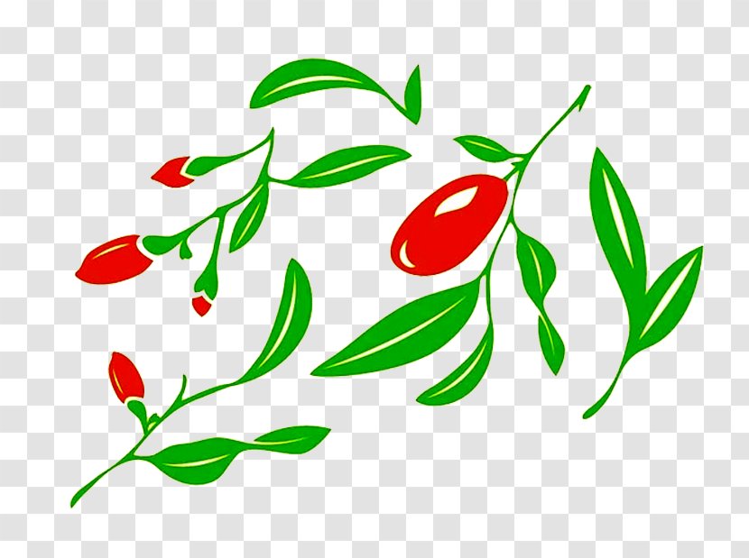 Jujube Illustration - Green - Cartoon Red Dates And Picture Material Transparent PNG