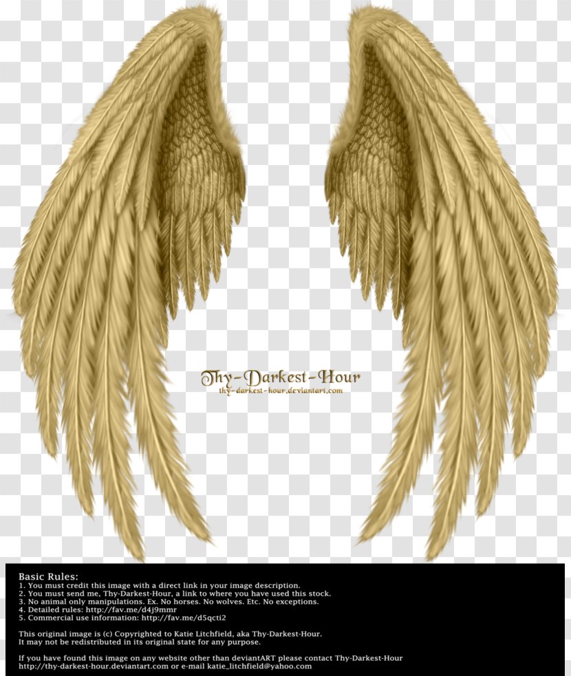 Drawing Bird Butterfly Angel Wing - Winged Unicorn - Wing,Angel Wings,Real Transparent PNG