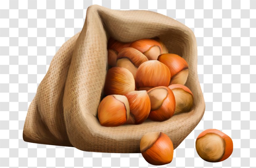 Hazelnut - Nut Transparent PNG