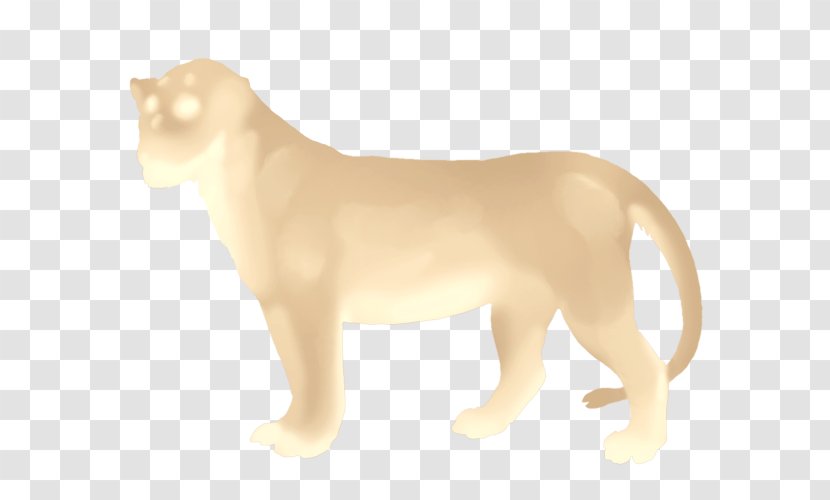 Cat Mammal Dog Carnivora Animal - Canidae - Almond Transparent PNG