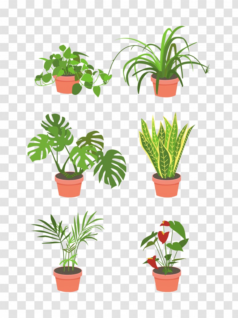 Flowerpot Houseplant Plant Flower Grass - Herb - Stem Transparent PNG