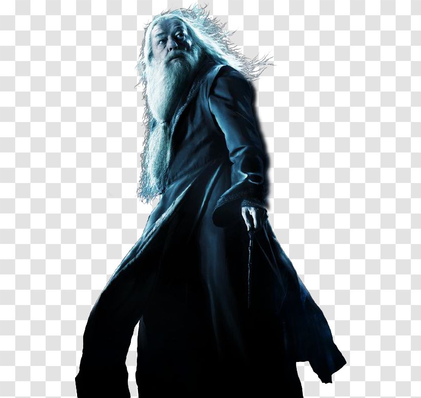 Harry Potter And The Half-Blood Prince Lord Voldemort Film Chamber Of Secrets - Order Phoenix Transparent PNG