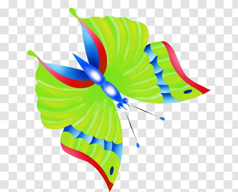 Butterfly Clip Art - Pollinator Transparent PNG