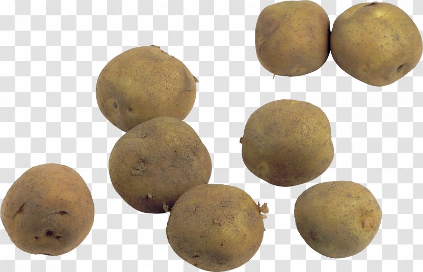 Russet Burbank Yukon Gold Potato Icon - Images Transparent PNG