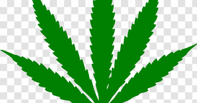 Cannabis Sativa Hemp Cultivation Marijuana Transparent PNG