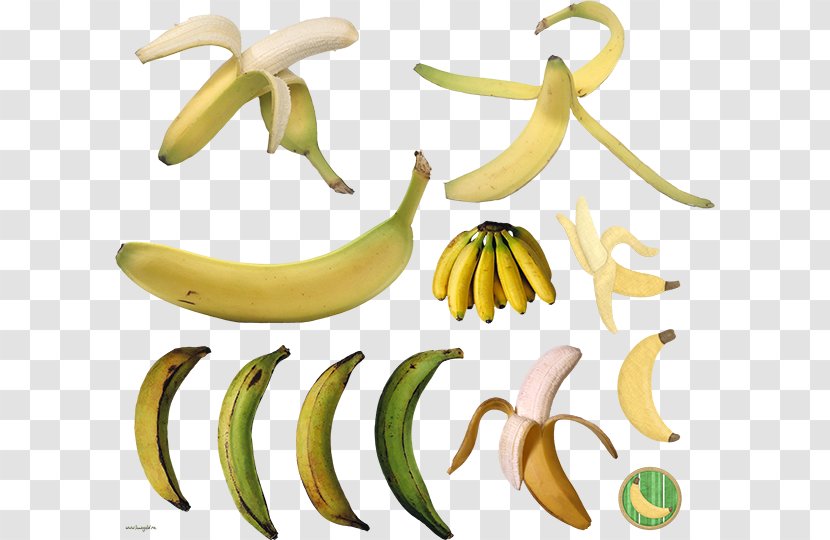 Cooking Banana Eating Commodity Transparent PNG