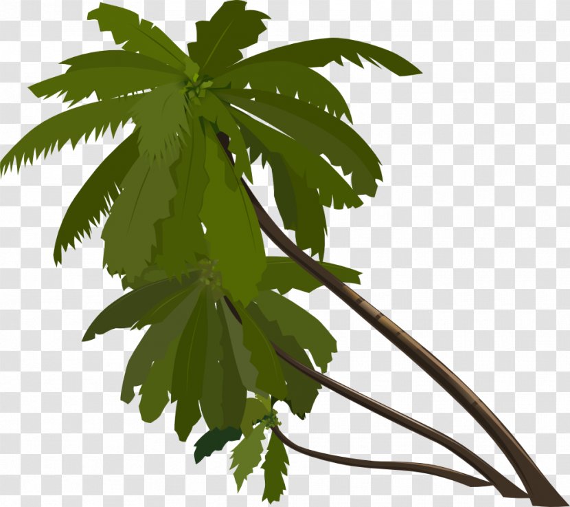 Arecaceae Clip Art - Leaf - Palm Transparent PNG