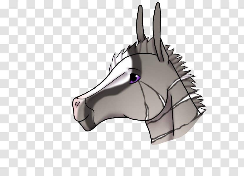 Halter Snout Donkey Bridle Transparent PNG