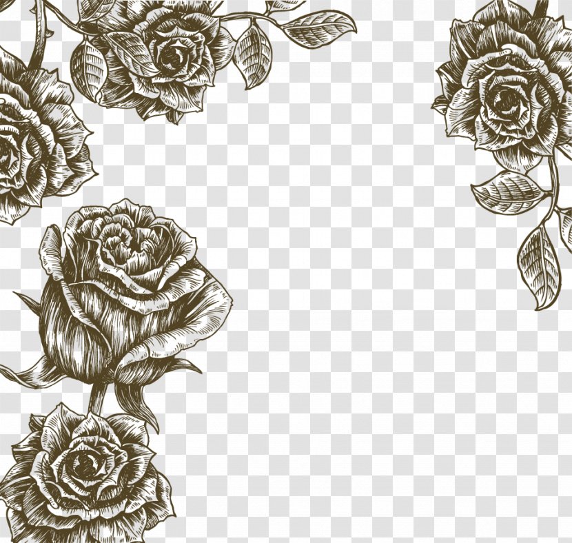 Flower Rose Illustration - Tree - Retro Transparent PNG