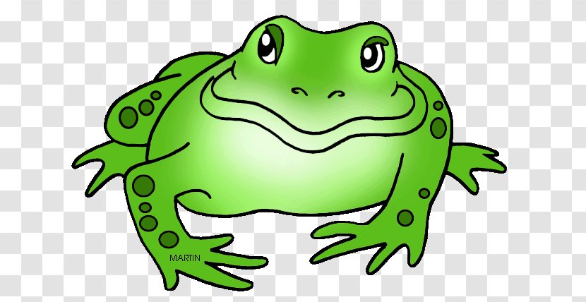 Amphibians American Bullfrog Clip Art - Tree Frog Transparent PNG