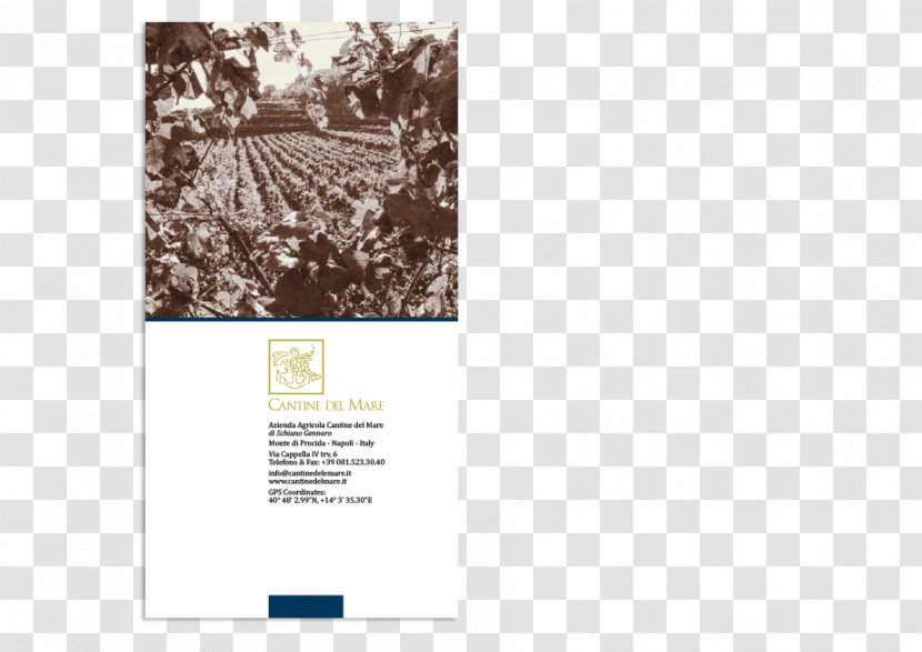 Wine Label Paper Brochure - Organism - Design Transparent PNG