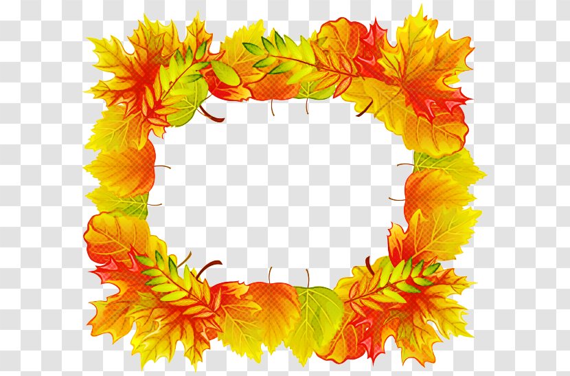 Autumn Flower - Istock - Plant Transparent PNG