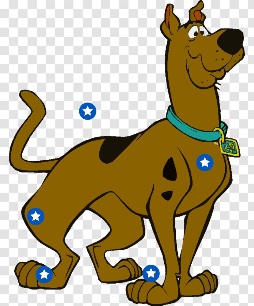Scooby Doo Shaggy Rogers Scooby-Doo - Puppy Transparent PNG