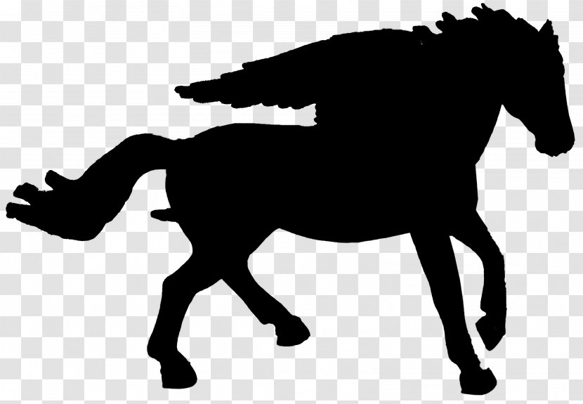 Mustang English Riding Stallion Mane Rein - Mare - Mammal Transparent PNG